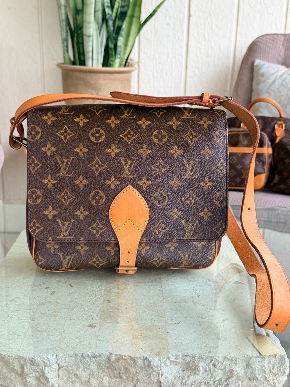 Louis Vuitton Cartouchiere GM Monogram 851💝💝💝